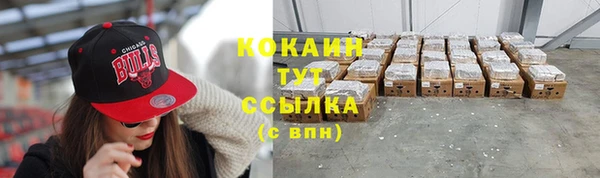 тгк Володарск