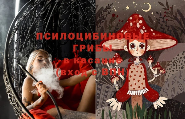 тгк Володарск