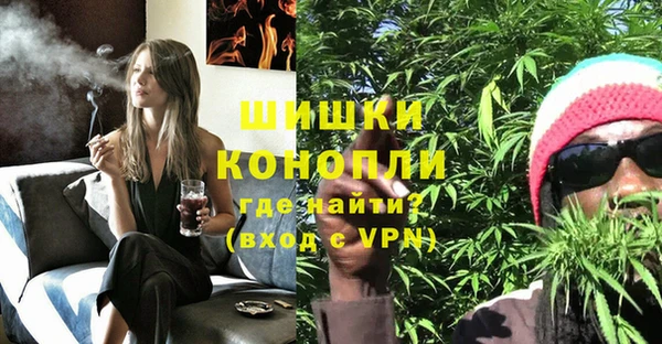 тгк Володарск