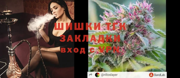 тгк Володарск