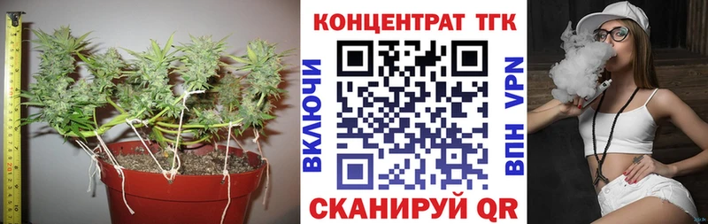 купить наркотик  Вольск  даркнет какой сайт  ТГК гашишное масло 